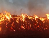 حكم تغسيل الميت المصاب بحروق؟.. دار الإفتاء تجيب