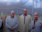 إمداد مزارعي كفر الشيخ بسبل الزراعة الجديدة لمواكبة التغيرات المناخية.. صور