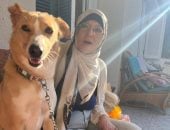 شمس البارودى: الكلبة ديزى بقت أشهر منى