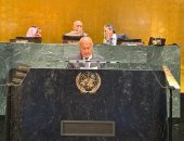 أبو الغيط بمؤتمر حل الدولتين: الاعتراف بالدولة الفلسطينية مسار لا رجعة عنه