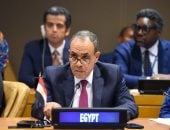 وزير الخارجية يستقبل نظيره السوري غدًا في القاهرة