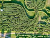 مزرعة تفوز بجائزة "أفضل متاهة محصول ذرة" فى أمريكا للعام الرابع.. صور