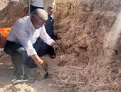 اكتشاف حفرية نمر ذي أنياب حادة عمرها 7.7 مليون سنة في وسط تركيا