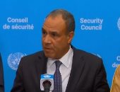 وزير الخارجية يؤكد ضرورة تثبيت وقف إطلاق النار في غزة