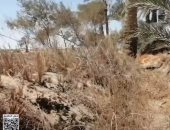 أهالى عزب قرية البرنس بالفيوم يشكون بوار نحو 2000 فدان لعدم وصول مياه الرى
