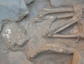 اكتشاف مقابر عمرها 4500 عام في بيرو يغير فهم التاريخ في وادي موتشي