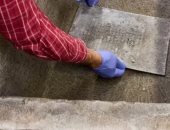 العثور على "كبسولة زمنية" تعود إلى عام 1822 في ألمانيا خلال أعمال تجديد متحف