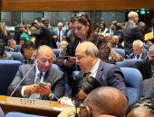 فوز مصر في انتخابات مجلس الإيكاو عن الفئة الثانية 