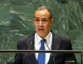 الخارجية تتابع عن كثب أوضاع المصريين فى مالى