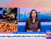 آمنة وصالحة للاستهلاك.. معهد المحاصيل الحقلية يوضح سبب اللون الأبيض داخل الطماطم