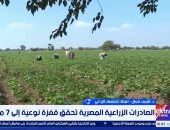 خبير لإكسترا نيوز: جودة المنتج المصرى كلمة السر فى زيادة الصادرات الزراعية