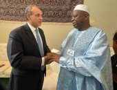 وزير الخارجية يؤكد حرص مصر على تعزيز التعاون الثنائى مع غينيا فى شتى المجالات