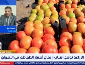 وزير الزراعة: انخفاض ملحوظ فى أسعار الطماطم خلال 20 يوما ولم تُرش بالمبيدات