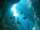 «عرق سمية».. واحد من أعمق وأشهر مواقع الغوص في الغردقة.. تعرف عليه