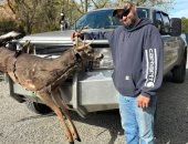 الهجوم على كنيسة ميتشيجان الحلقة الأحدث فى استهداف دور العبادة بأمريكا.. سلسلة اعتداءات طوال 20 عامًا والكنائس الهدف الأبرز.. الجناة أغلبهم من البيض المتطرفين أو العنصريين.. والقائمة تشمل معابد السيخ واليهود