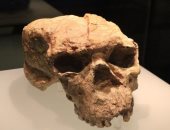 جمجمة قديمة عُثر عليها فى الصين تؤخر التطور البشرى 400 ألف عام