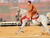 164 جواد عربى أصيل يتنافسون فى مهرجان الشرقية للخيول العربية اليوم.. صور