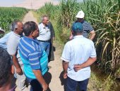 وفد من وزارة الزراعة يتابع جهود مكافحة الآفات قبل موسم الزراعات الشتوية بالأقصر