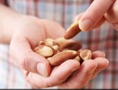 لماذا لا يؤدي تناول المكسرات إلى زيادة الوزن رغم احتوائها على الدهون؟