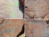 اكتشاف نقوش إبل عمرها 12 ألف عام فى شبه الجزيرة العربية