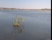 تفاصيل ارتفاع منسوب النيل فى سوهاج ووصول المياه للجزر.. فيديو