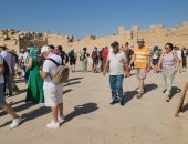 الأفواج السياحية يستمتعون بين الأعمدة والمسلات بمعابد الكرنك.. صور