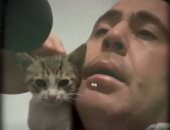 قطة تشارك مؤذنًا تركيًا الأذان وتخطف قلوب رواد مواقع التواصل..فيديو