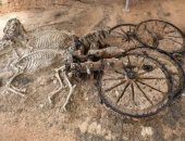 مقبرة يونانية قديمة دُفن بها الأغنياء مع الخيول والعربات اعرف قصتها