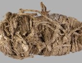 اكتشاف حذاء عشبى عمره 750 عامًا داخل عش نسر فى إسبانيا