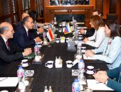 وزير الخارجية يؤكد ضرورة إطلاق مسار سياسى يفضى إلى تنفيذ حل الدولتين