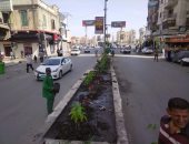 التنمية المحلية تعلن انتهاء تشجير وتجميل محور الشعراوى فى السيدة نفيسة