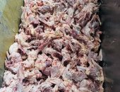 ضبط نصف طن أجزاء دواجن مجهولة المصدر بحملة مكبرة لصحة القليوبية