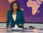 فأر يفاجئ مذيعة الجزيرة أثناء تقديم النشرة يثير الجدل.. حقيقي ولا Ai؟ فيديو