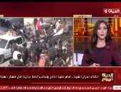 الحياة اليوم: اللجنة المصرية تنقل النازحين الفلسطينيين مجانا إلى الشمال