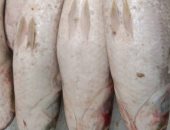 بائعو الأسماك في دمياط يستعدون لاستقبال بشائر موسم "الفوارغ"