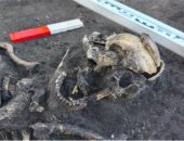 اكتشاف مدافن عمرها 1000 عام لـ"المسيحيين الأوائل" فى بولندا