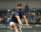 7 مصريين يتأهلون لثمن نهائي بطولة وادي السيليكون للاسكواش بأمريكا