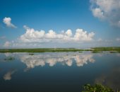 5 معلومات اعرفها عن محمية أشتوم الجميل قبلة الطيور المهاجرة