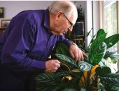 حالة يبحثها العلماء.. عجوز أمريكى لا يصاب بالزهايمر رغم حمله جينات المرض  