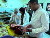 حملات مكثفة للطب البيطرى بسوهاج لضمان سلامة اللحوم وصحة المواطنين
