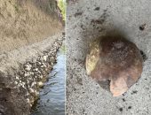 اكتشاف مذهل لجمجمة عمرها أكثر من 4 آلاف عام على ضفاف نهر بأمريكا