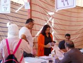 القانون يحدد عقوبة التصويت فى الانتخابات أكثر من مرة.. اعرف التفاصيل