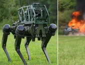 الذكاء الاصطناعى فى ساحة المعركة بكلب آلى يهاجم ويتتبع الأهداف تلقائيًا