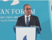 وزير الخارجية: 9 مليارات دولار خسائر مصر فى عام واحد بسبب توترات البحر الأحمر