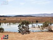 بحيرات فى حضن الجبل.. وادى مليحة أو كبة النخلة واحة طبيعية فى قلب صحراء الغردقة