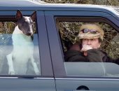 تزامنا مع أزمة أندرو.. اعرف آخر عضو فى العائلة المالكة أدين جنائيا والسبب كلب