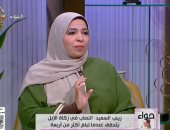 ما فضل إطعام الطعام عن روح المتوفى؟.. أمينة الفتوى تجيب