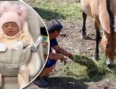 العالم هذا المساء.. الصين تحتضن سلالة حصان برزوالسكى النادرة فى العالم.. مذيعة بالذكاء الاصطناعى تستفز البريطانيين: وظائفكم في خطر.. فتاة إسكتلندية تخدع العالم بصور لطفلتها المزيفة.. صور وفيديو