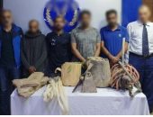 مصر تحمى آثارها.. ضبط 6 أشخاص أثناء التنقيب عن الآثار بالقاهرة