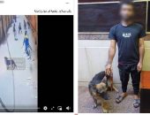 ضبط شخص ظهر فى فيديو يحمل سلاحًا وكلبًا ويروع المارة بالجيزة